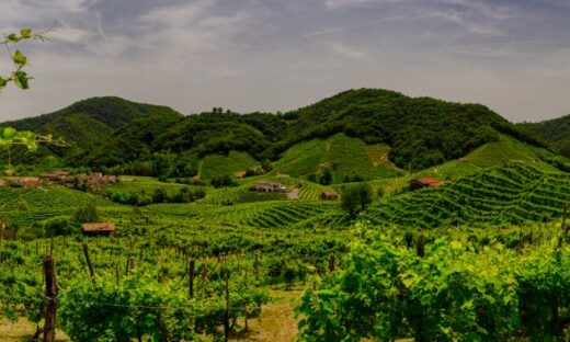 Omicidio tra le colline del Prosecco