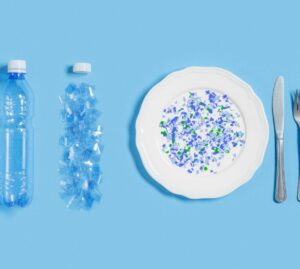 Microplastiche nell’organismo: maggior rischio di infarti e ictus