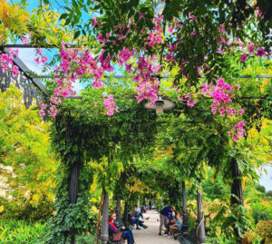 Scrigni di biodiversità e di cultura: i Grandi Giardini Italiani