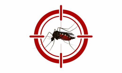 Dengue: attenzione. Primi casi autoctoni attesi a giugno