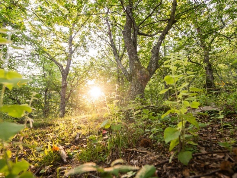 Grandi Giardini Italiani