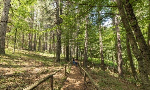 Le camminate nella biodiversità. Ecco dove