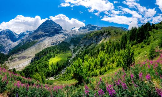 Giornata Europea dei Parchi: bellezze italiane