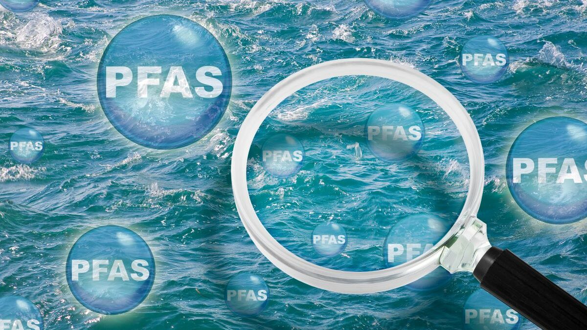 PFAS, una sentenza storica per il Veneto: condanne e risarcimenti