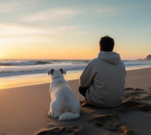 Tartadogs: sulle piagge italiane i cani salva tartarughe marine