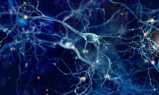 Le lesioni spinali potrebbero non essere più così irreparabili