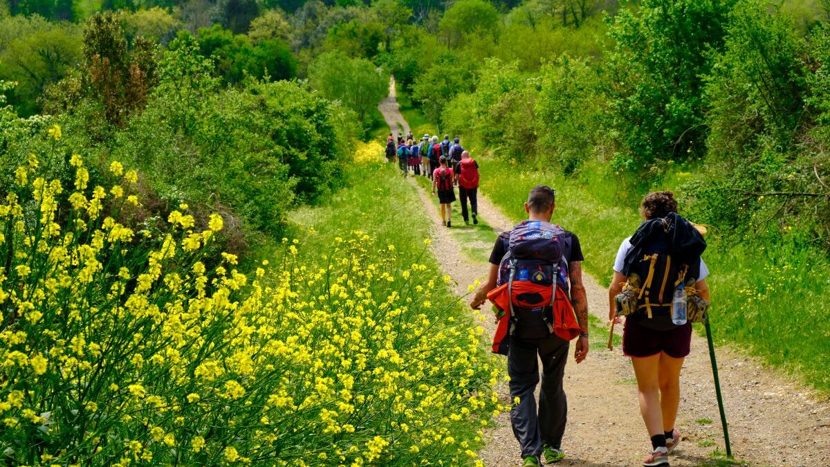 A piedi sulle tracce di San Francesco: 13 itinerari segreti da scoprire in Veneto