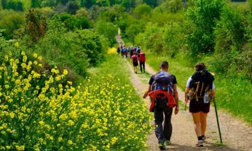 A piedi sulle tracce di San Francesco: 13 itinerari segreti da scoprire in Veneto