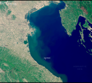 Il mare diventa verde: cosa sta succedendo all’Adriatico