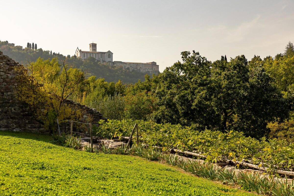 Alla scoperta della biodiversità italiana nei luoghi Fai