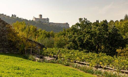 Alla scoperta della biodiversità italiana nei luoghi Fai