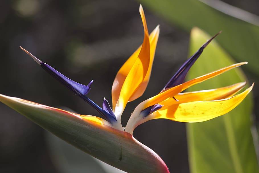 La biomimesi entra in classe: quando la Natura diventa maestra