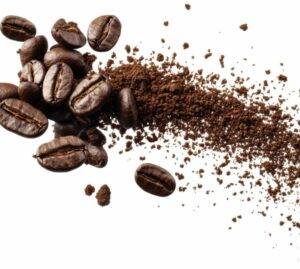 La caffeina cambia anche i batteri