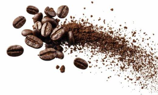 La caffeina cambia anche i batteri
