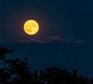 Luna “dello storione”, Perseidi, pianeti: che bello guardare il cielo d’agosto