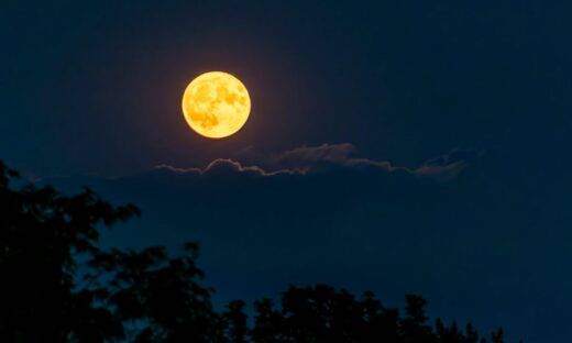 Luna “dello storione”, Perseidi, pianeti: che bello guardare il cielo d’agosto