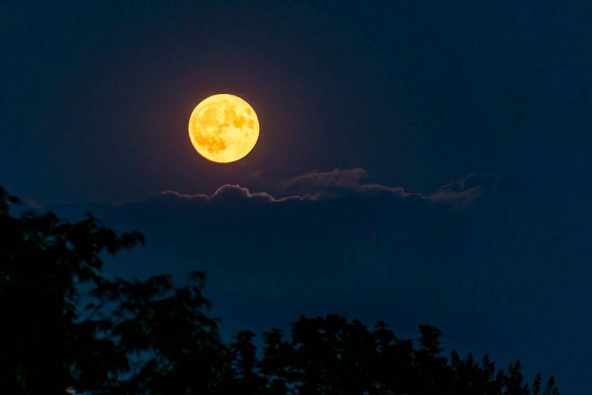 Luna “dello storione”, Perseidi, pianeti: che bello guardare il cielo d’agosto