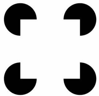 Illusioni ottiche: ecco come il cervello inganna la vista