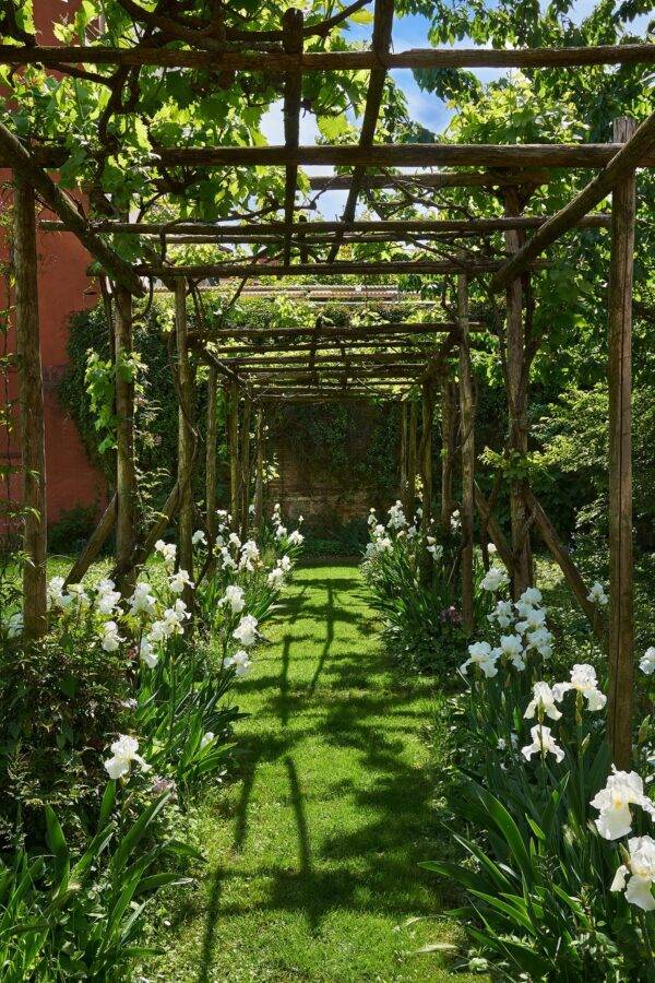 Giardino