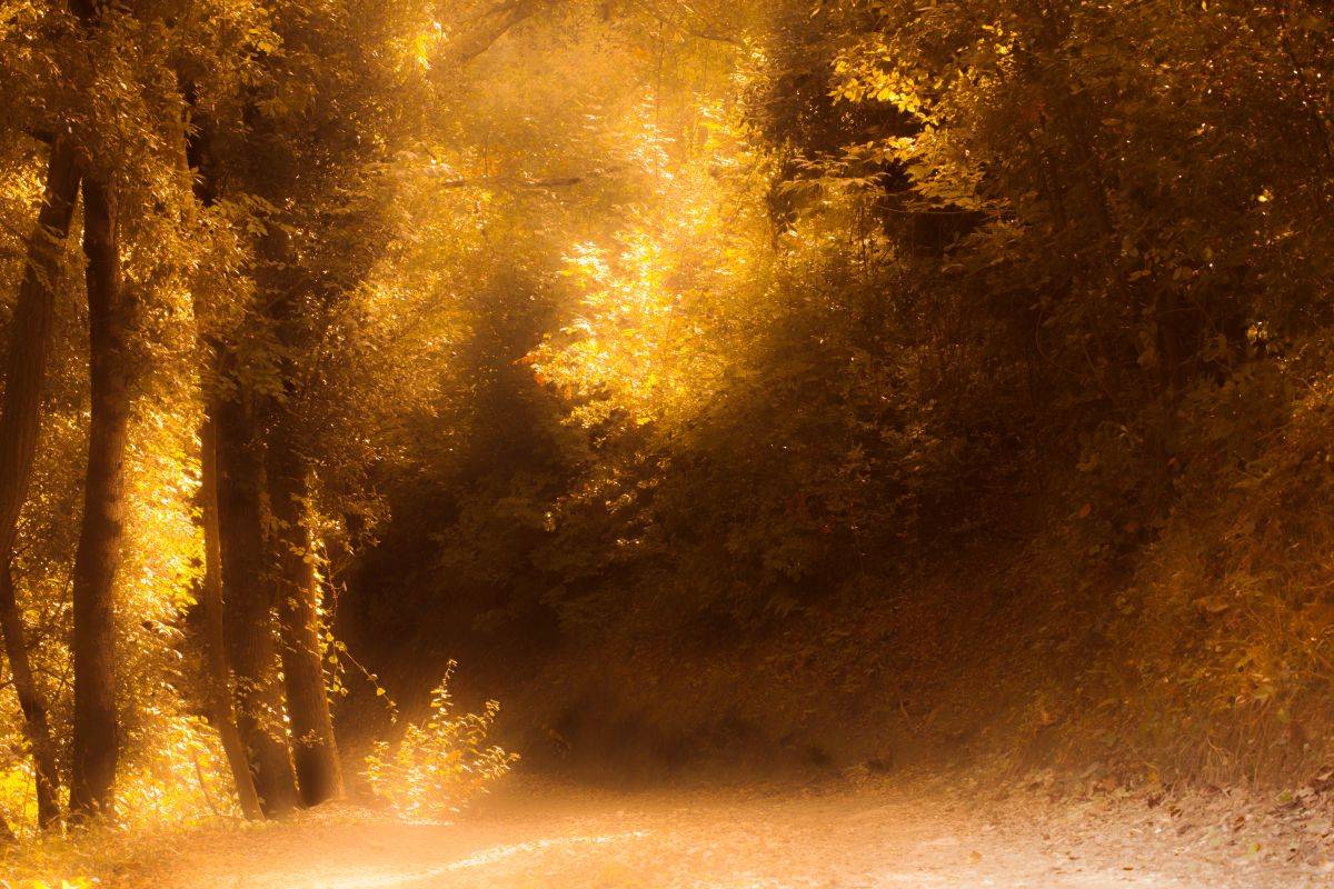 Autunno veneto: tra cascate, castagneti e borghi da scoprire