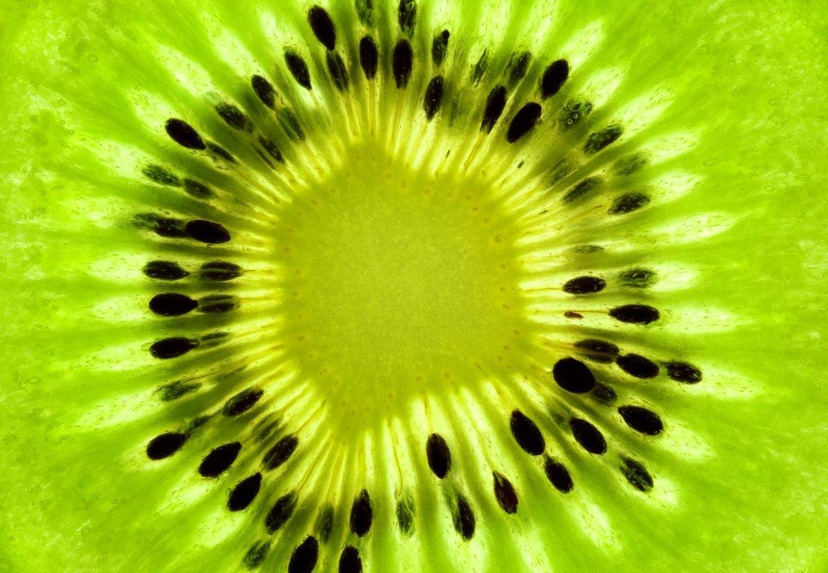 Dal Veneto, la scoperta: il kiwi fa bene al cuore e all’umore