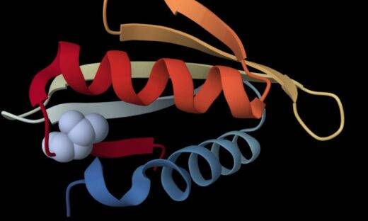 Cancro: scoperto il trucco delle cellule per correggere le proteine
