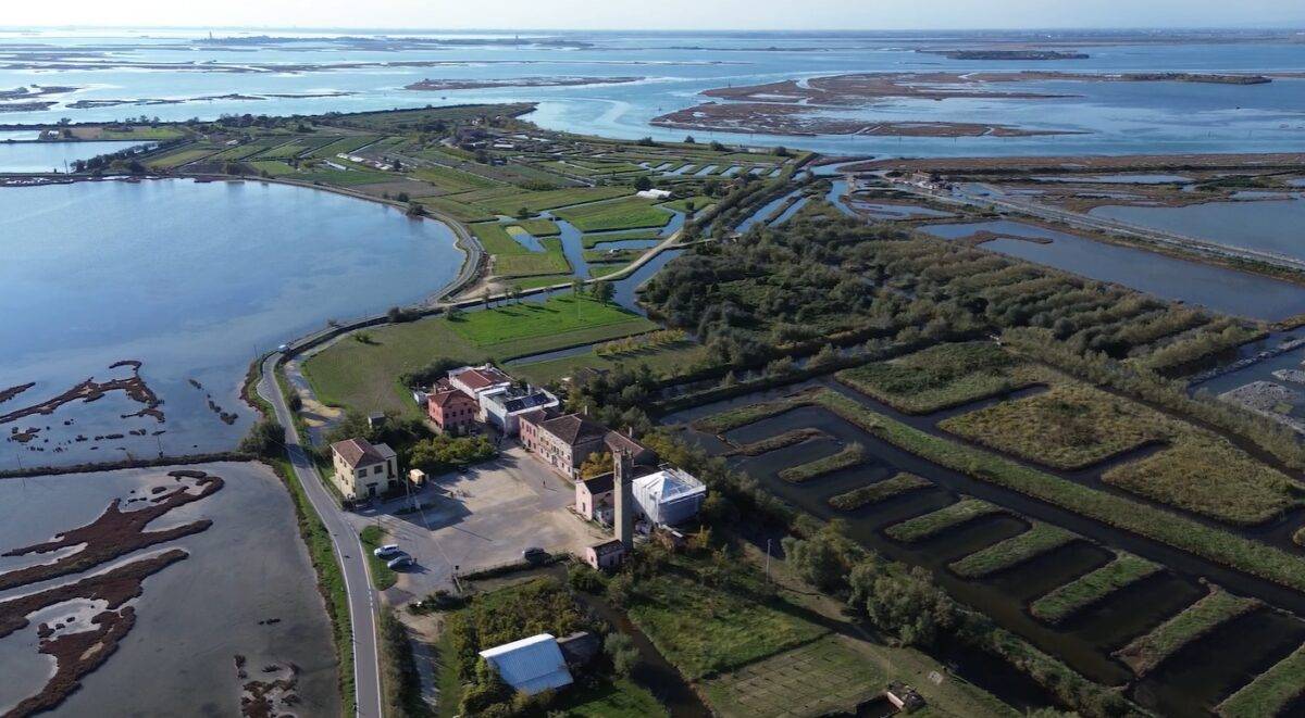 Quando i droni voleranno sulle lagune: la sfida di convivere con gli uccelli