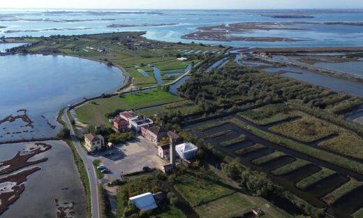Quando i droni voleranno sulle lagune: la sfida di convivere con gli uccelli