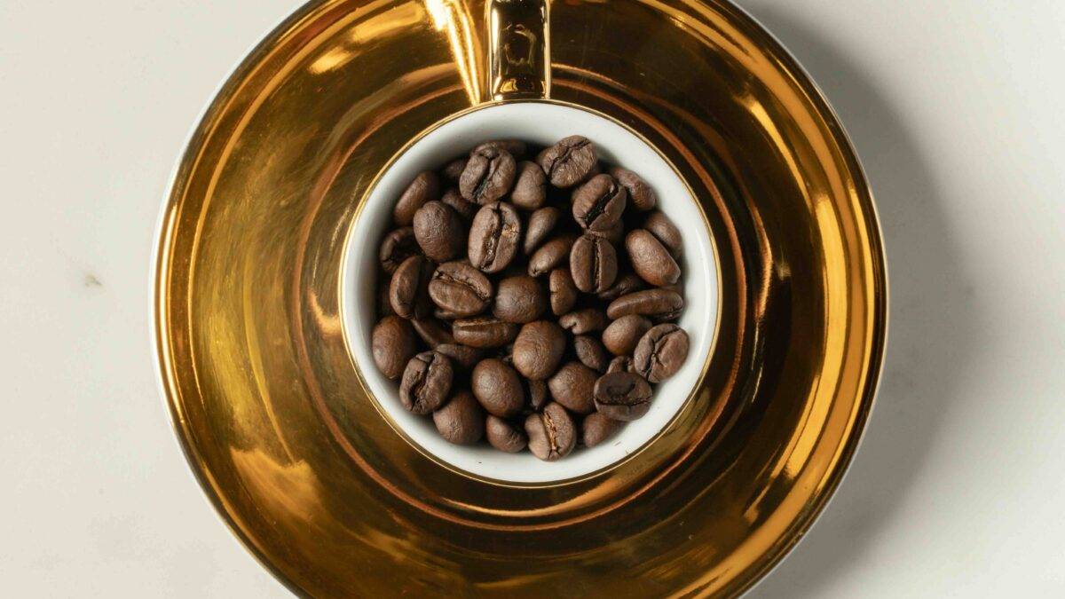 50 euro a tazza. Ma è il caffè più buono del mondo