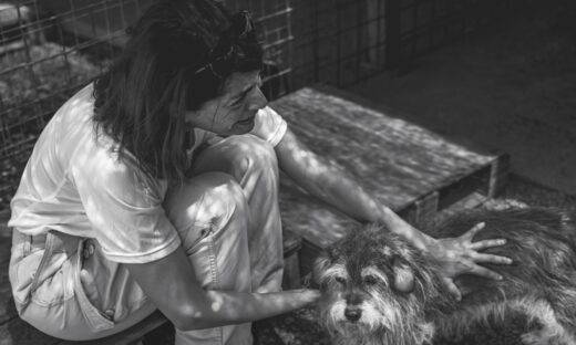 "Attraverso i nostri occhi": il reportage sugli animali abbandonati