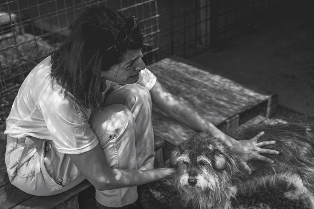 "Attraverso i nostri occhi": il reportage sugli animali abbandonati