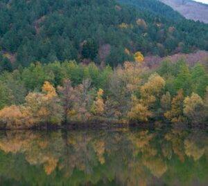 Città metropolitane, il motore della forestazione nazionale