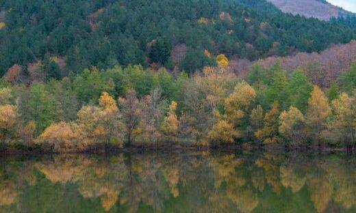 Città metropolitane, il motore della forestazione nazionale