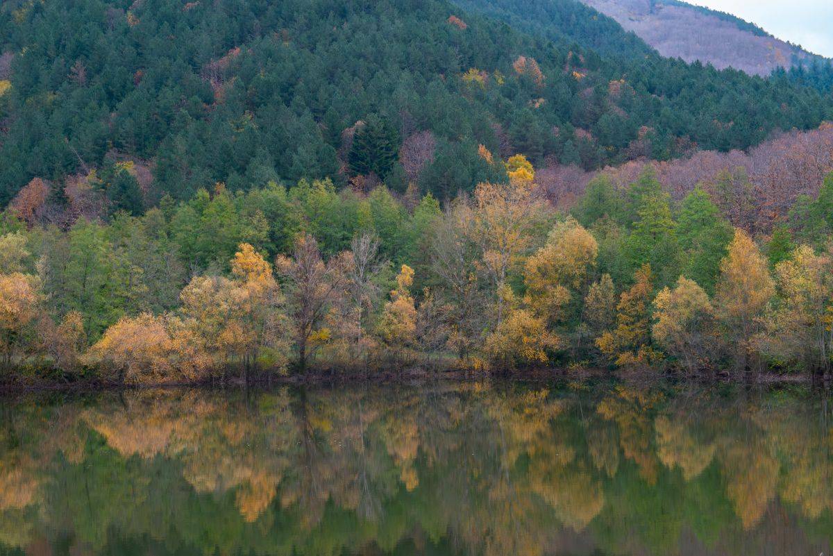 Città metropolitane, il motore della forestazione nazionale