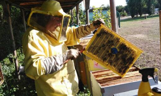 Il miele di barena veneto conquista la giuria de “L’Ape della Serenissima”