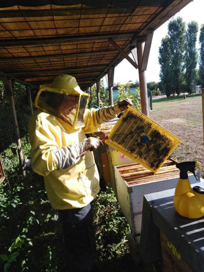 Il miele di barena veneto conquista la giuria de “L’Ape della Serenissima”