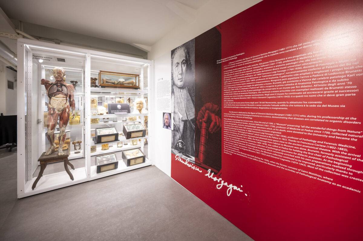 Università svelate 2026: dietro le quinte del sapere