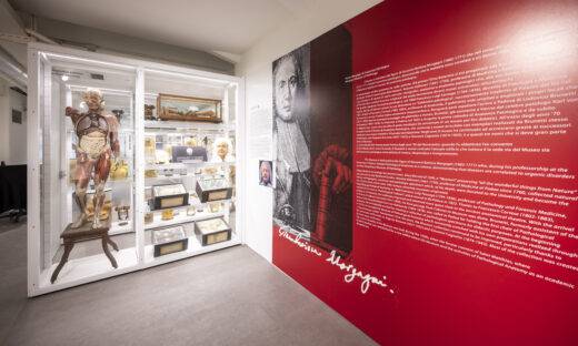 Università svelate 2026: dietro le quinte del sapere