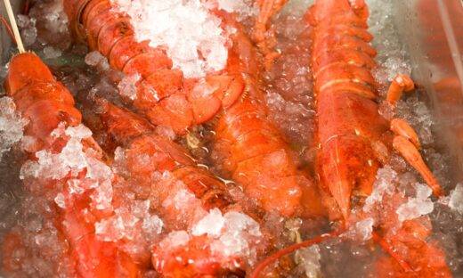 Dal ristorante al mare, turiste “libera-astici”. Ma è un errore