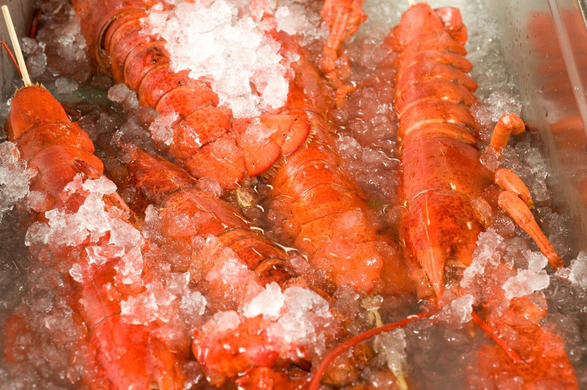 Dal ristorante al mare, turiste “libera-astici”. Ma è un errore