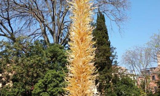 Venezia si veste d’arte: anticipazioni in attesa della Biennale 2026