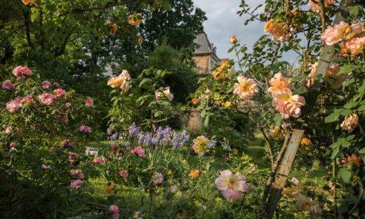 Giardinaggio sensoriale: a Torino nasce il primo corso in Italia per ipovedenti