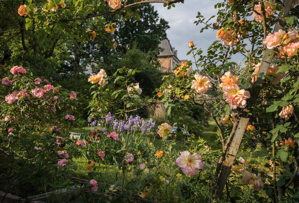 Giardinaggio sensoriale: a Torino nasce il primo corso in Italia per ipovedenti