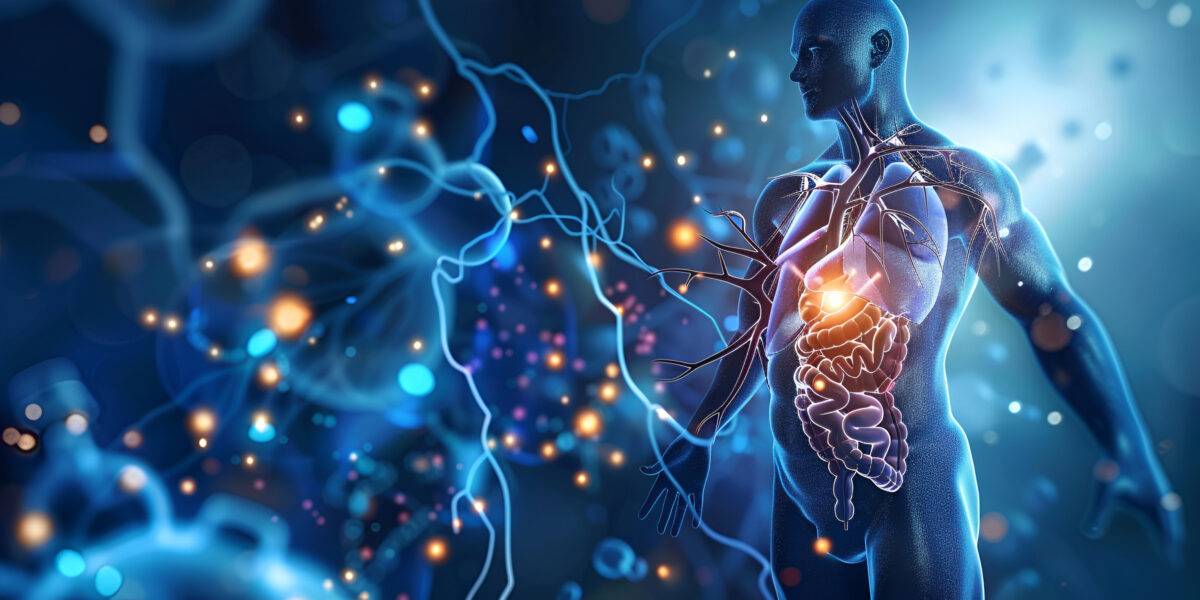 Guardare la “luce della vita” per capire come stiamo
