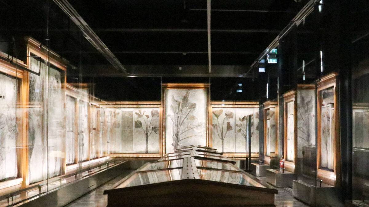 La “Sala delle Palme” dell’Università di Padova è patrimonio mondiale