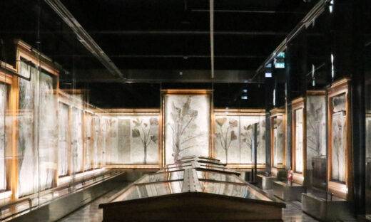 La “Sala delle Palme” dell’Università di Padova è patrimonio mondiale