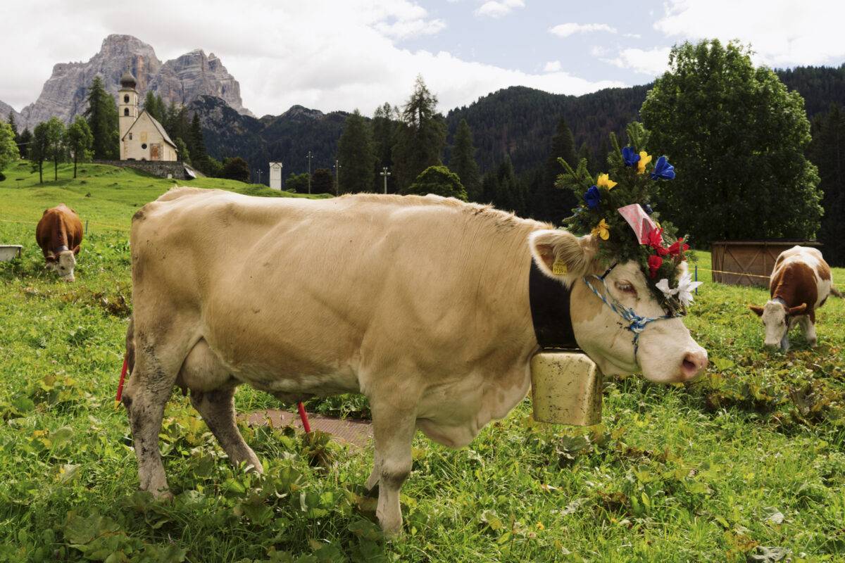 Dolomiti
