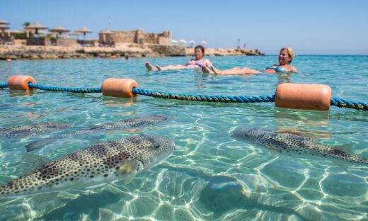 Pesce che morde, l'invasione continua: perché preoccupa gli esperti