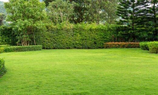 L’Italia ritrova i suoi giardini
