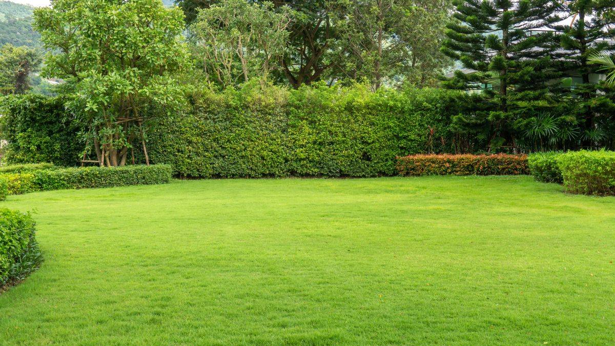 L’Italia ritrova i suoi giardini